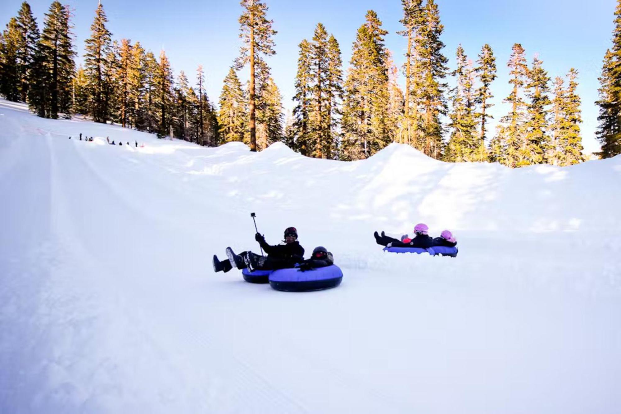 1849 #102 * Mammoth Lakes